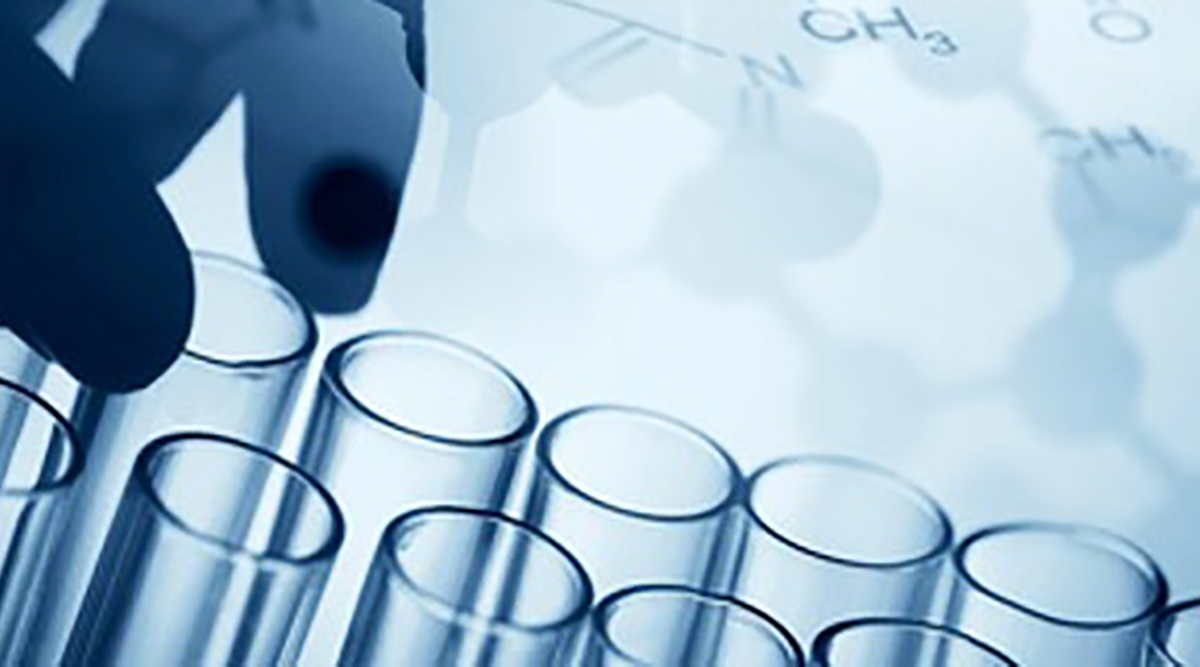 lab